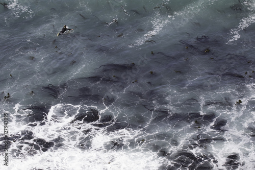 Big Sur Paddle