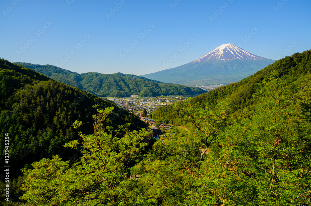 Mount Fuji in Summer