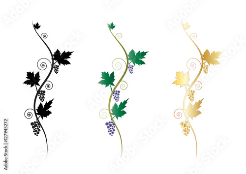 Ornamental floral decorative grapes vine clusters graphic elements or banners, text dividers.