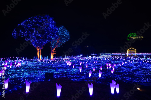 Outdoor Night Illumination
