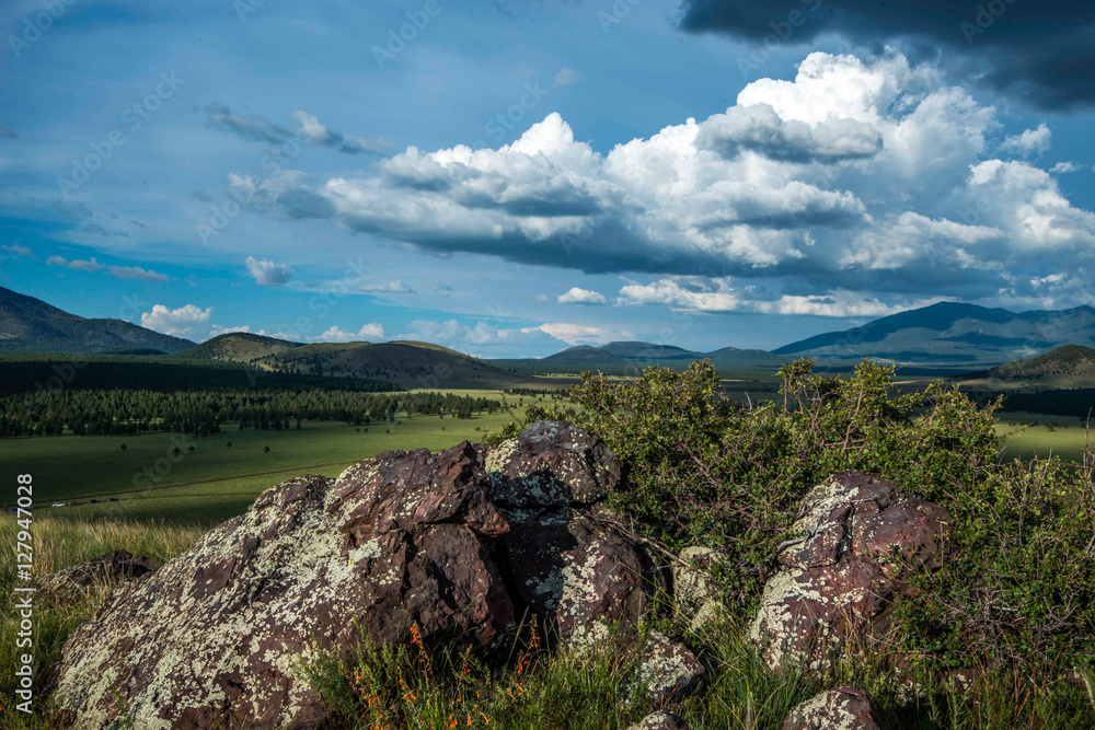 Northern Arizona