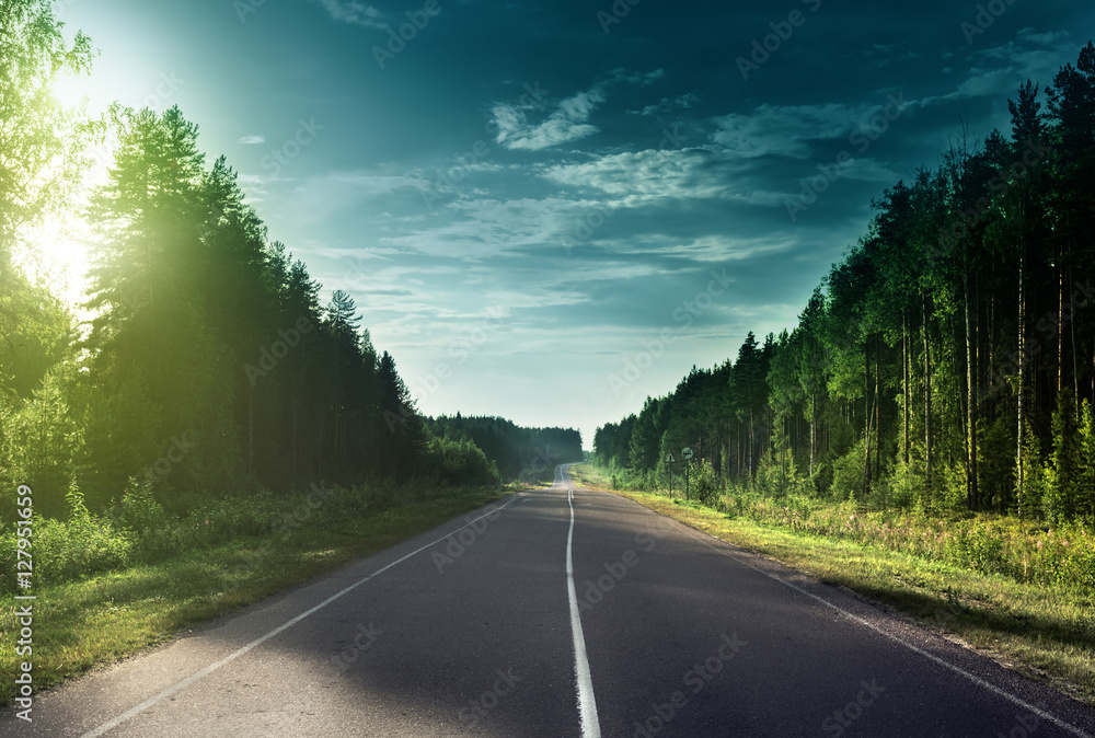 road in sunny forest