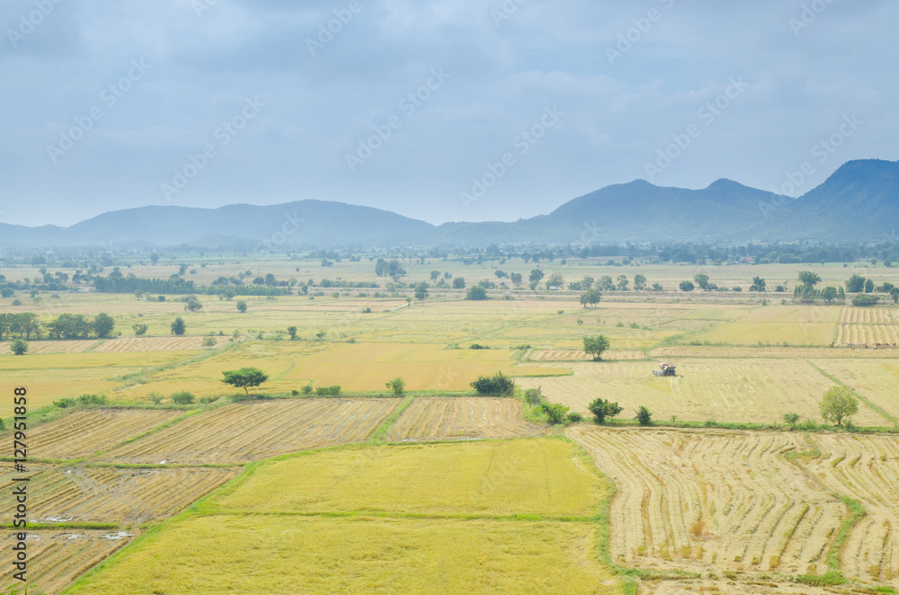 Rice field with mountain in Thailand. Landscape photo.