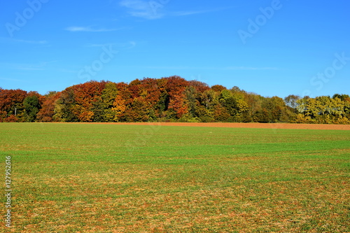 Green field on blue sky (6)