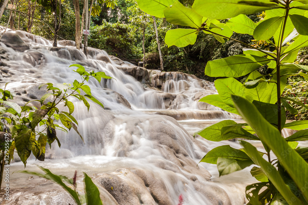 Fototapeta premium Dunn's River Falls in Jamaica