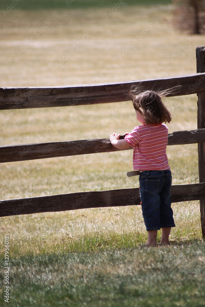 young girl looking through split rail fence into open field with wind blowing hair young girl looking through split rail fence into open field with wind blowing hair