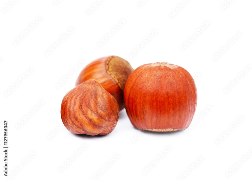 Group healty hazelnuts isolated on white background Group healty hazelnuts isolated on white background