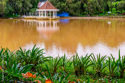Obraz na płótnie Bank of Pond with round pavilion on a water at a park of flowers at Vietnam w salonie