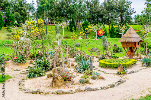 Obraz na płótnie Landscape design with cactuses, sand, stones and wooden house in a park of flowers at Dalat Vietnam w salonie