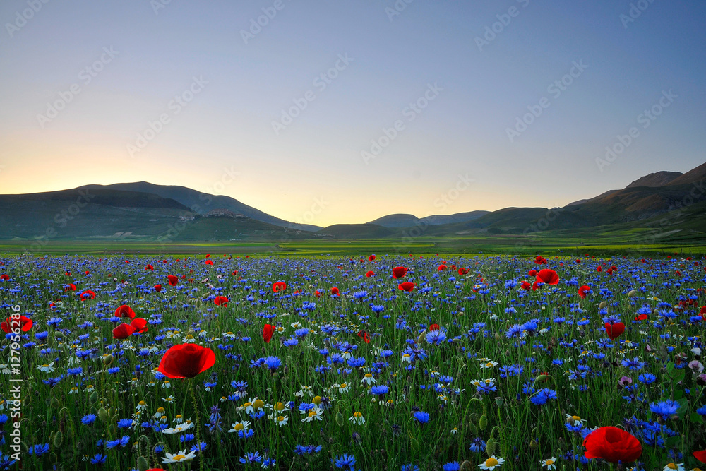 Castelluccio di Norcia