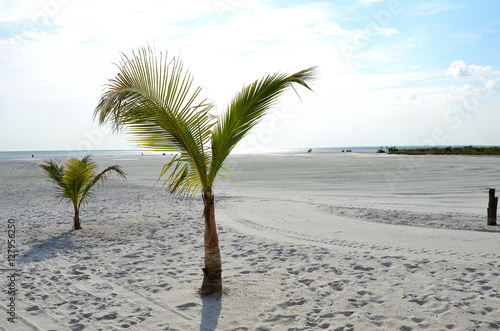 Strand Fort Myers