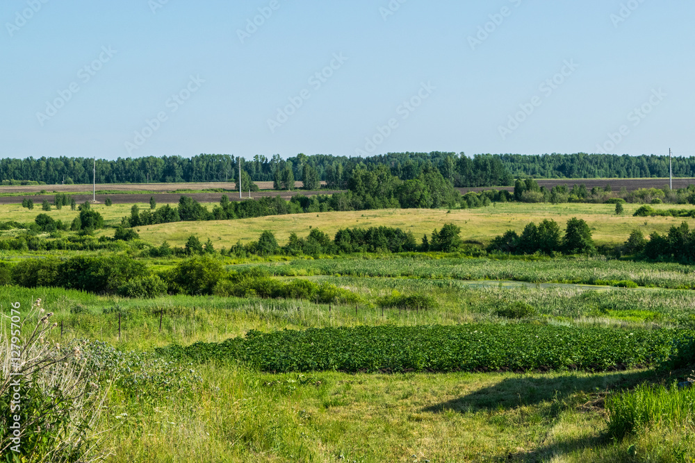 Russian meadow the spirit of expanse