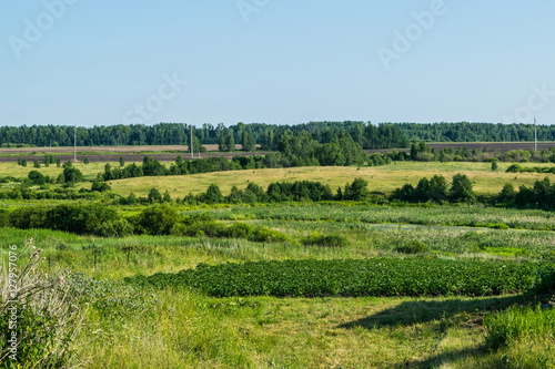 Obraz na płótnie Russian meadow the spirit of expanse w salonie