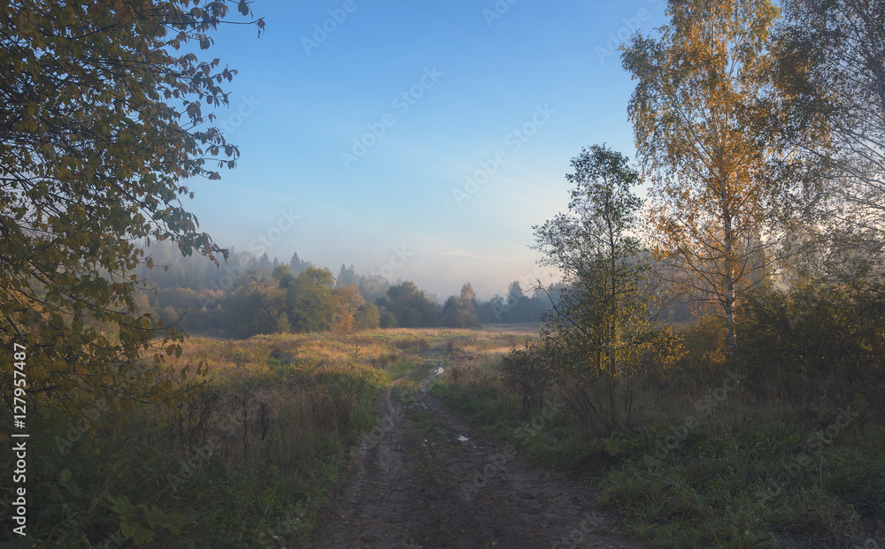 Fototapeta premium Autumn landscape