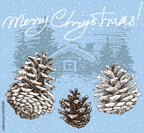 christmas card with the fir cones