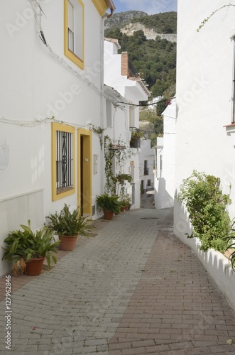 Fototapeta Naklejka Na Ścianę i Meble -  Alley  in Ojen, Andalusia, Spain