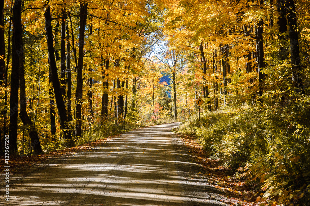 Allegheny National Forest