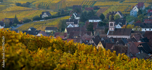 Alsace village, with vineyard, Riquewhir. France