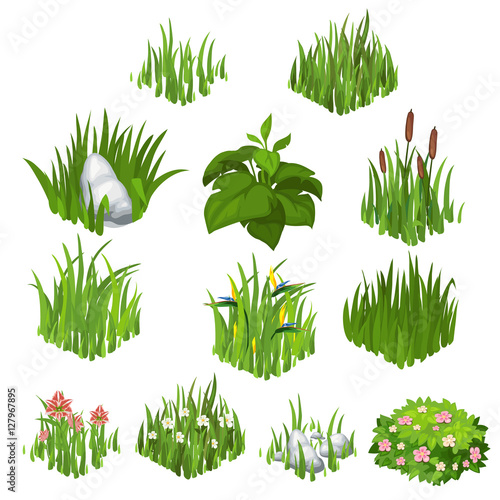 Canvas Print Vector collection of different grass and flowers