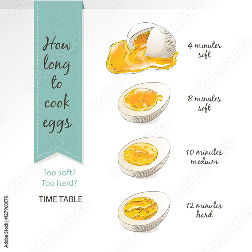vector half, sliced eggs