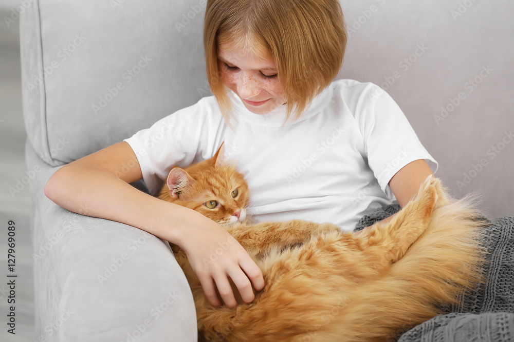 Cute little girl with red fluffy cat on sofa in room
