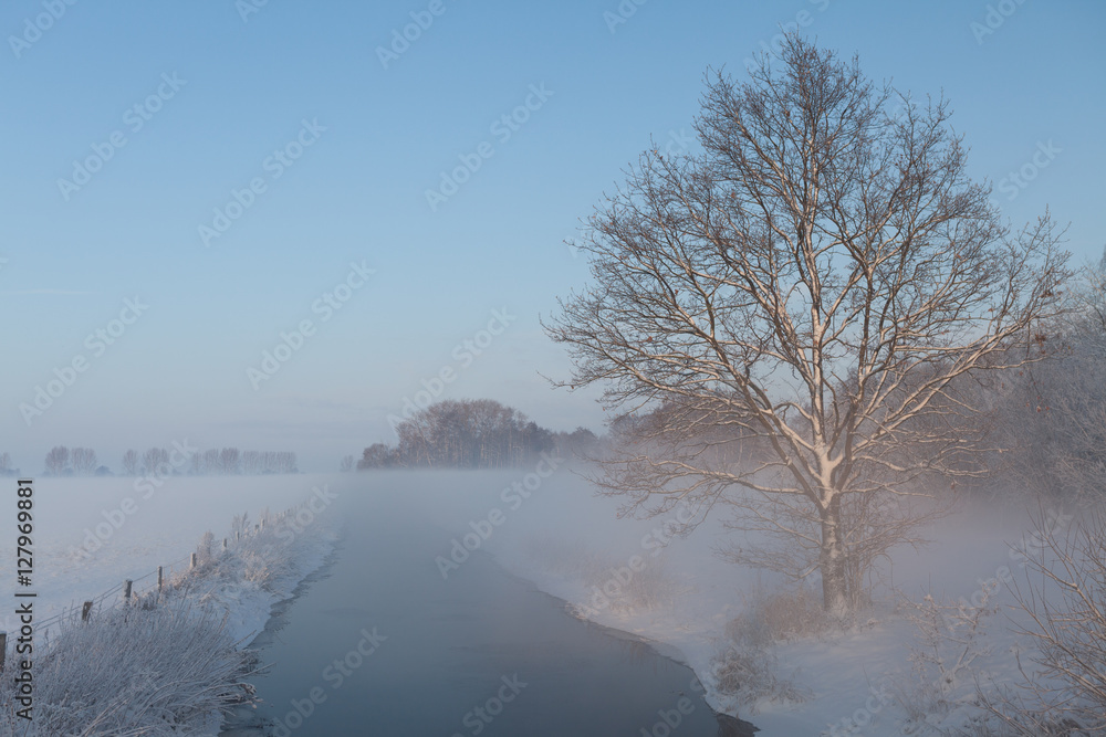 Tree standing next to a small creek between fields with snow in