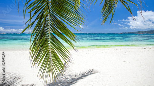 Tropical beach with coconut palm tree leafs, white sand and turq © photopixel