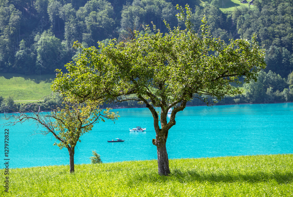Lake Lungern, Switzerland..
