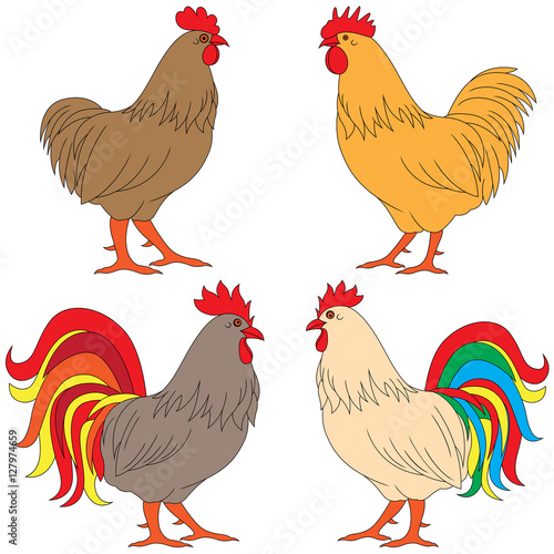 Set of four multicolor Roosters