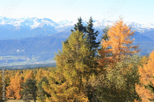 Herbstbäume in den Dolomiten