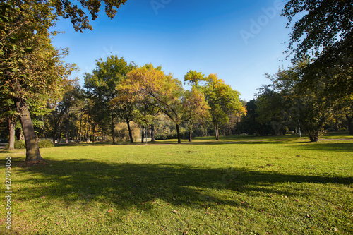 Autumn in Topcider park photo