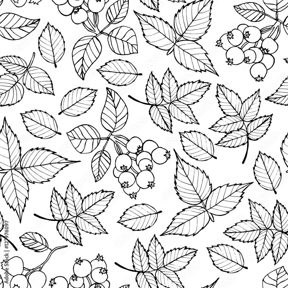 Vector seamless floral pattern with leaf and berries Vector seamless floral pattern with leaf and berries