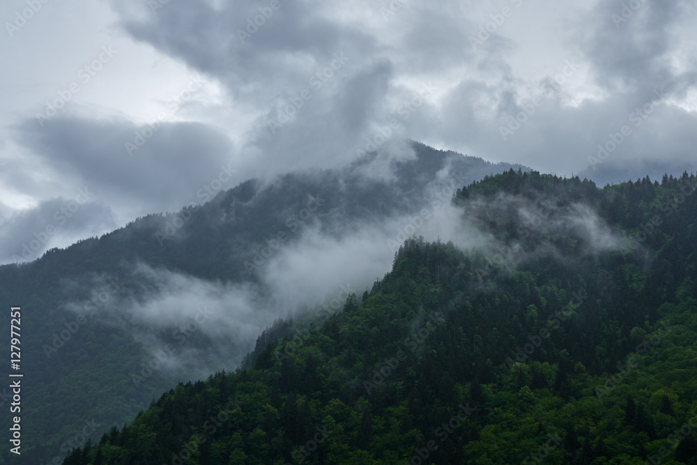 mountain peaks covered with forest under cloudy sky