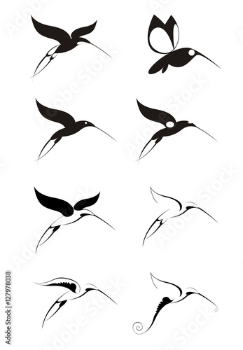 Birds of paradise decor set. Original decorative birds set for design
