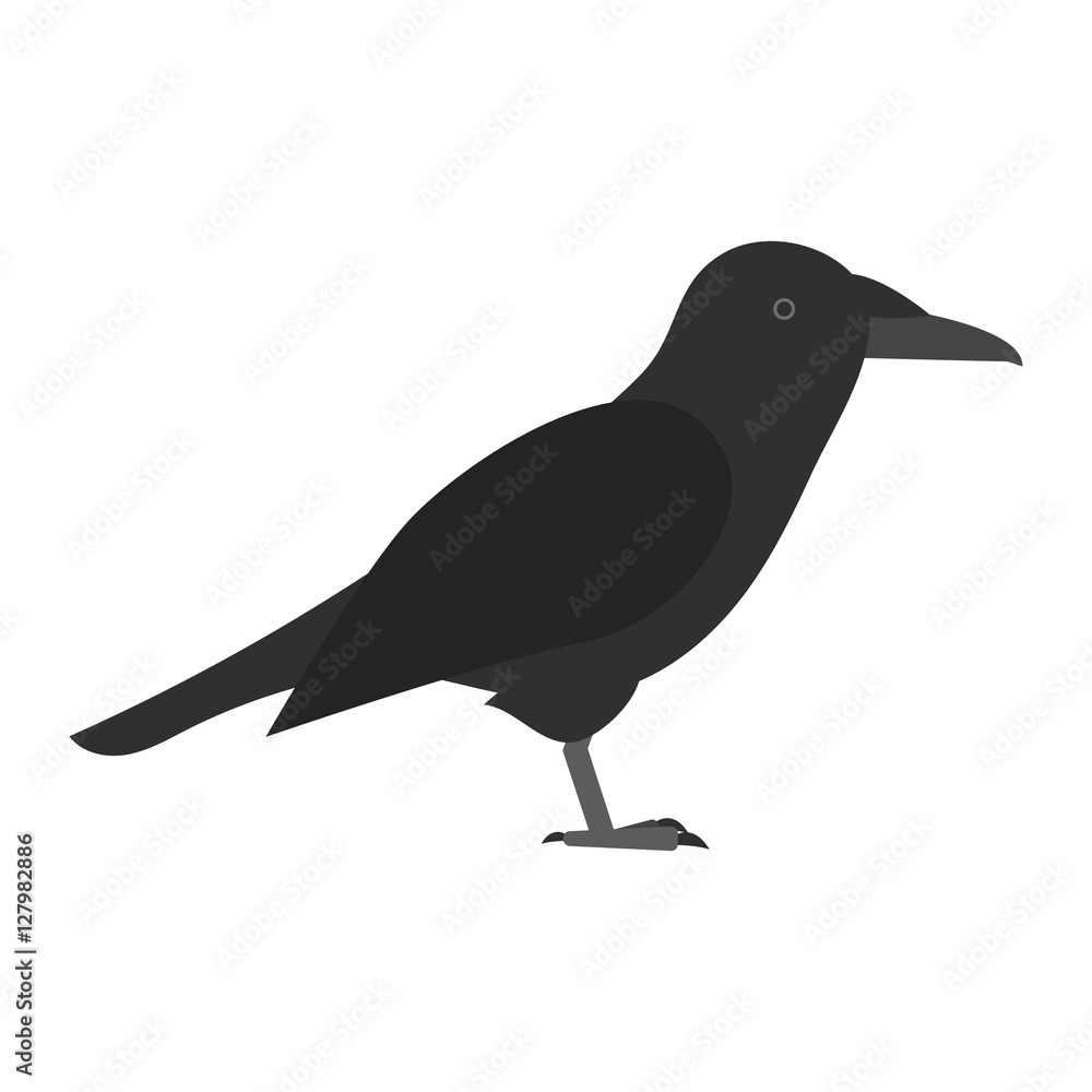 Fototapeta premium flat bird isolated on white background, beautiful vector illustration