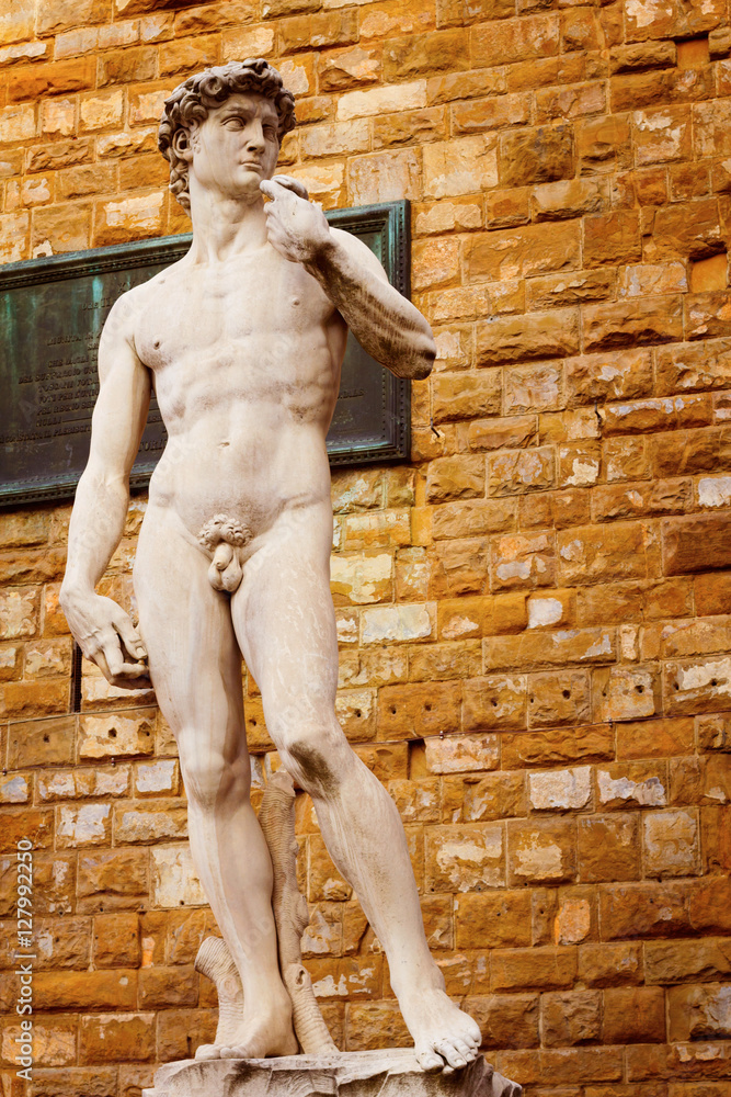 Obraz premium Statue of David