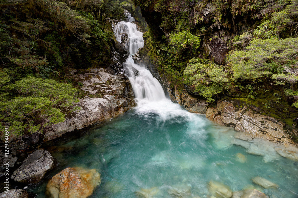 Waterfall in rainforest, Milford Sound, New Zealand Waterfall in rainforest, Milford Sound, New Zealand