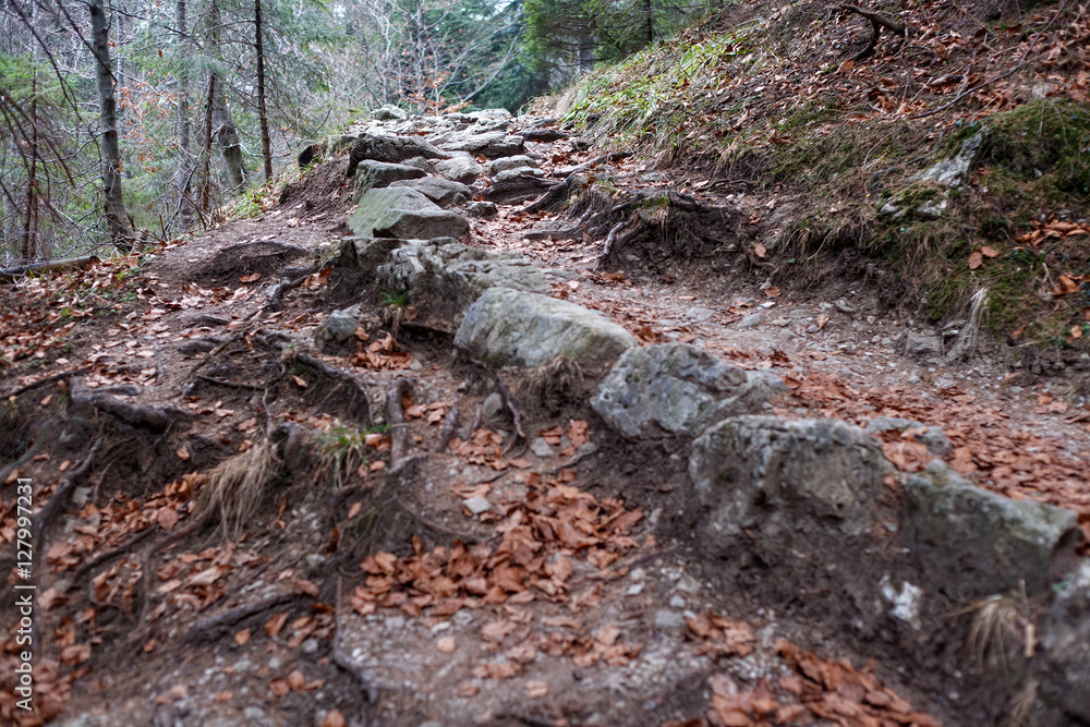 The narrow pathway in the High Tatras mountains. The narrow pathway in the High Tatras mountains.