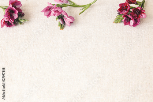 Maroon crimson red freesia flowers on linen toning copy space background