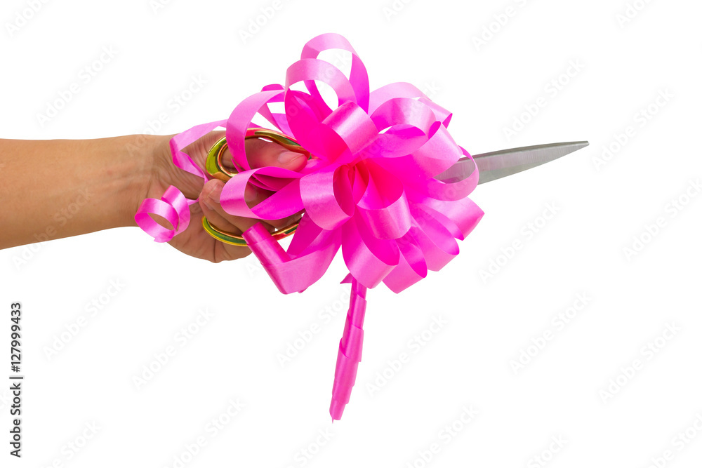 mans hand cutting something with scissors and pink bow isolated mans hand cutting something with scissors and pink bow isolated