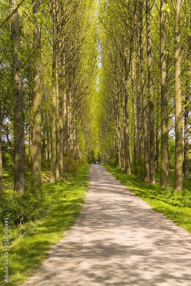 footpath trail in the english countryside UK footpath trail in the english countryside UK