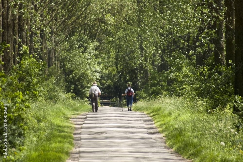footpath trail in the english countryside UK footpath trail in the english countryside UK
