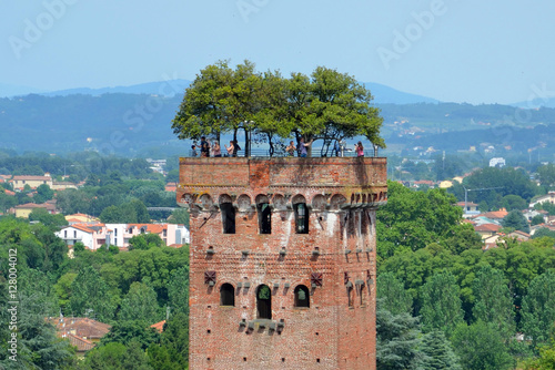 Guinigi Tower in  Lucca,Italy