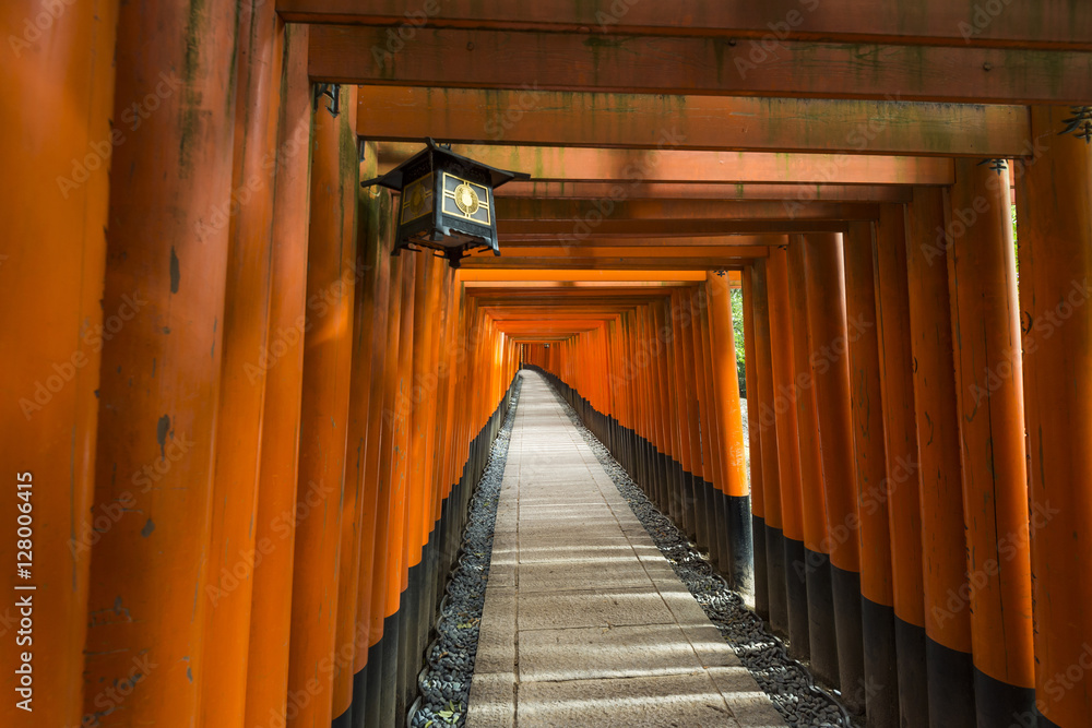 Thousands of torii gates, Fushimi Inari Shrine, Kyoto, Japan Thousands of torii gates, Fushimi Inari Shrine, Kyoto, Japan