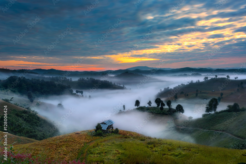 Mist in the morning flowing on the channel of the hills Mist in the morning flowing on the channel of the hills
