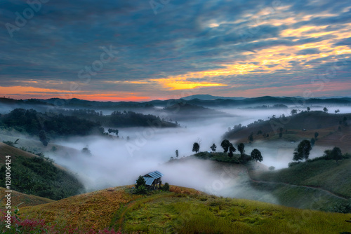 Mist in the morning flowing on the channel of the hills