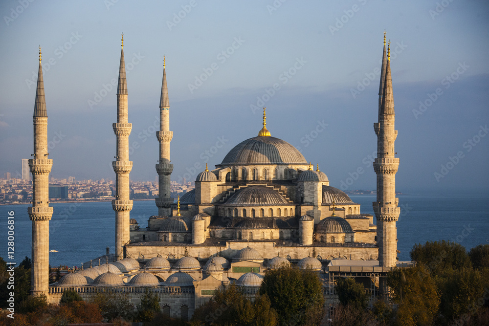 Naklejka premium Blue Mosque Istanbul