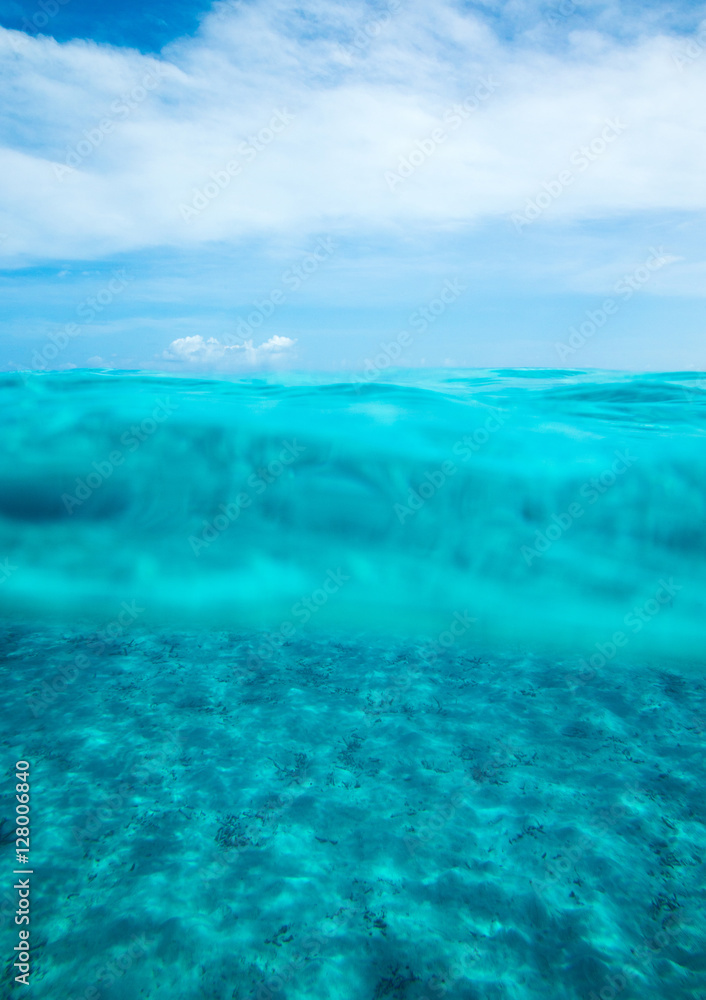 Fototapeta premium Tranquil underwater scene with copy space