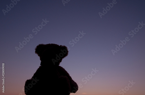 Bear toy with sunset sky