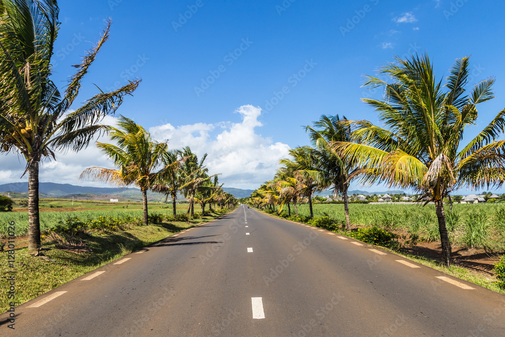 The roads of Mauritius